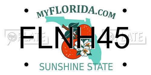 FLNH45 Florida License Plate