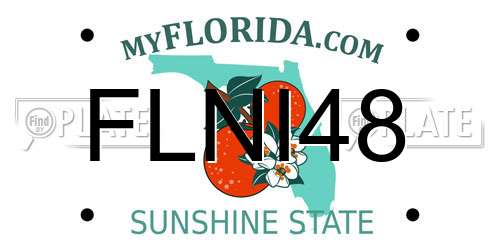 FLNI48 Florida License Plate