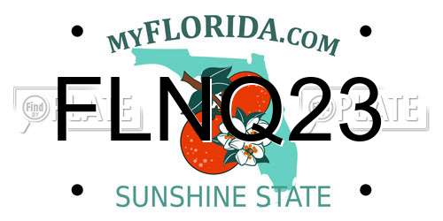 FLNQ23 Florida License Plate