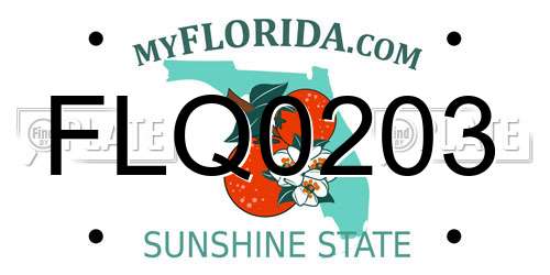 FLQ0203 Florida License Plate