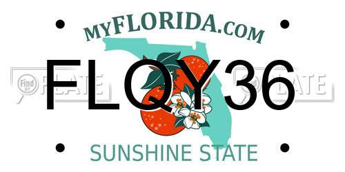 FLQY36 Florida License Plate