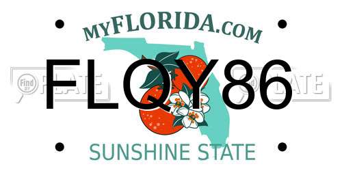 FLQY86 Florida License Plate