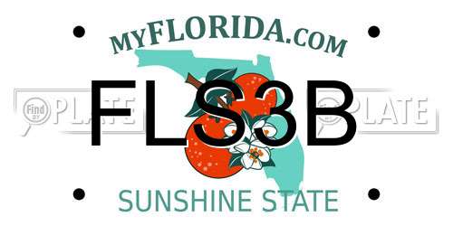 FLS3B Florida License Plate