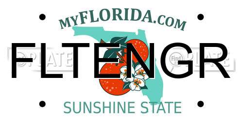 FLTENGR Florida License Plate