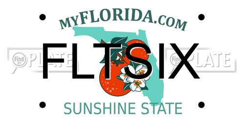 FLTSIX Florida License Plate