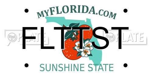 FLTTST Florida License Plate
