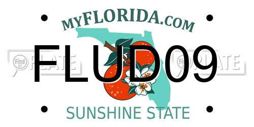 FLUD09 Florida License Plate