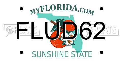 FLUD62 Florida License Plate
