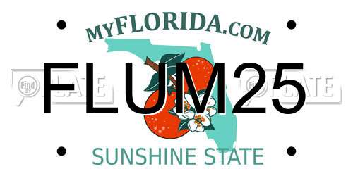 FLUM25 Florida License Plate