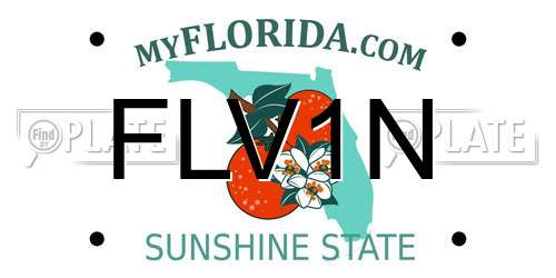 FLV1N Florida License Plate