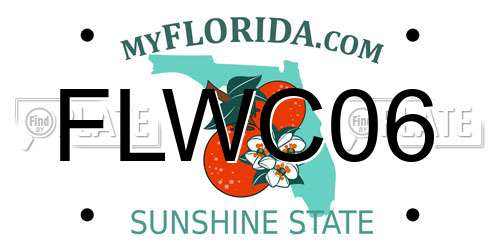 FLWC06 Florida License Plate