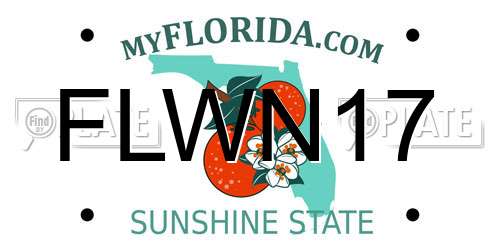 FLWN17 Florida License Plate