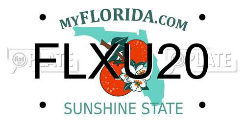 FLXU20 Florida License Plate