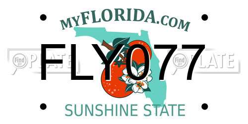 FLY077 Florida License Plate