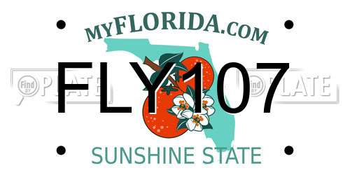 FLY107 Florida License Plate