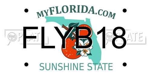 FLYB18 Florida License Plate