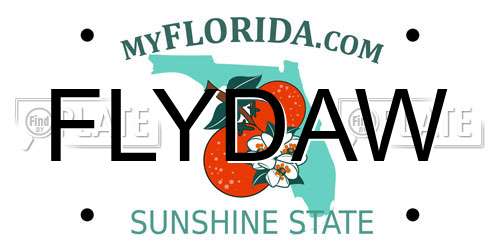 FLYDAW Florida License Plate