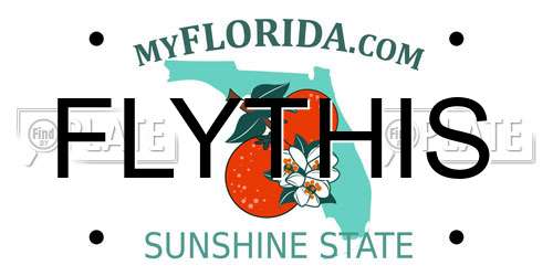 FLYTHIS Florida License Plate