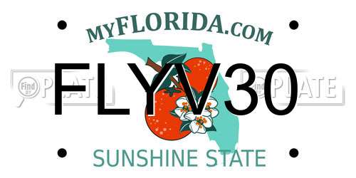 FLYV30 Florida License Plate