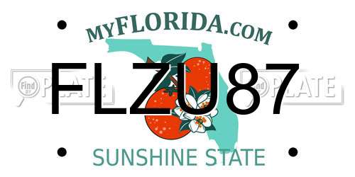 FLZU87 Florida License Plate