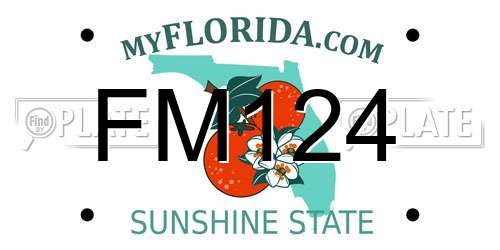 FM124 Florida License Plate