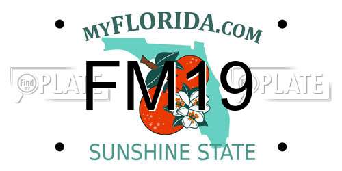 FM19 Florida License Plate