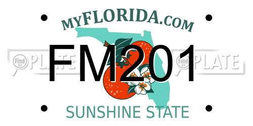 FM201 Florida License Plate
