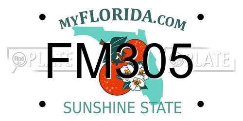 FM305 Florida License Plate