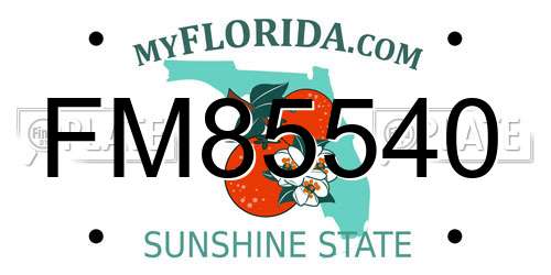 FM85540 Florida License Plate