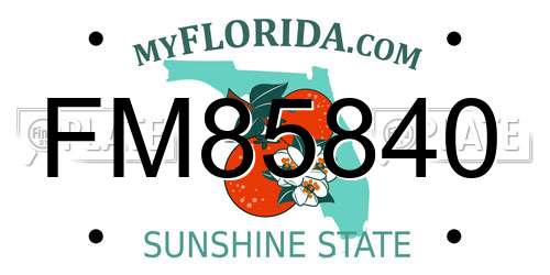 FM85840 Florida License Plate