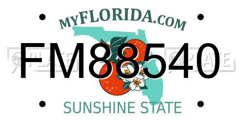 FM88540 Florida License Plate