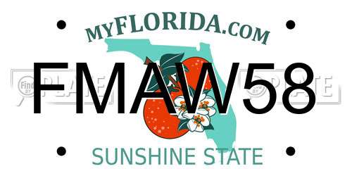 FMAW58 Florida License Plate