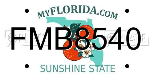 FMB8540 Florida License Plate