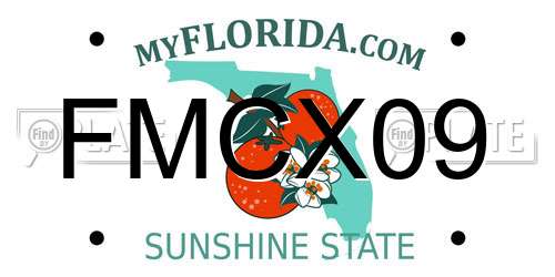 FMCX09 Florida License Plate