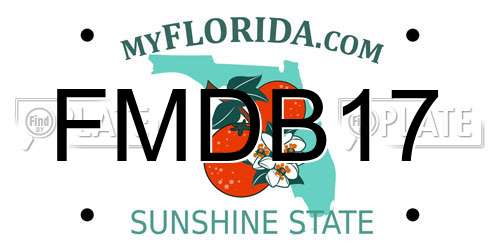 FMDB17 Florida License Plate