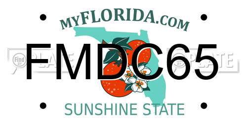 FMDC65 Florida License Plate