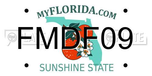 FMDF09 Florida License Plate