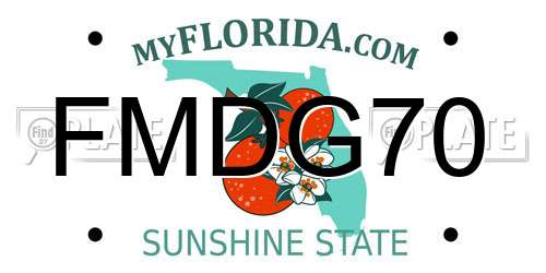 FMDG70 Florida License Plate