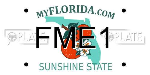 FME1 Florida License Plate