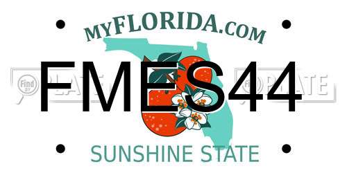 FMES44 Florida License Plate