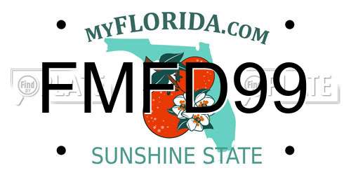 FMFD99 Florida License Plate