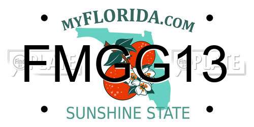 FMGG13 Florida License Plate