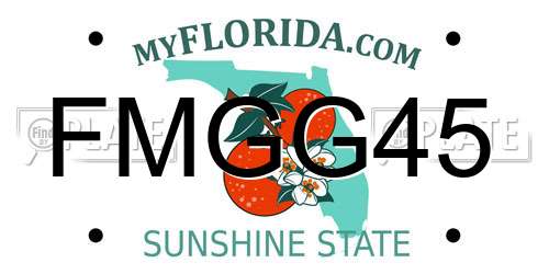 FMGG45 Florida License Plate