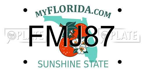 FMJ87 Florida License Plate