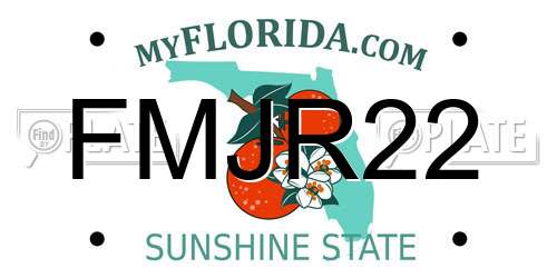 FMJR22 Florida License Plate