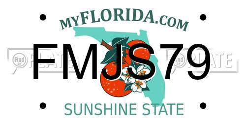 FMJS79 Florida License Plate