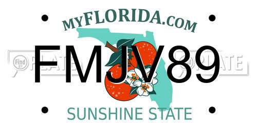 FMJV89 Florida License Plate