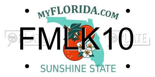 FMLK10 Florida License Plate