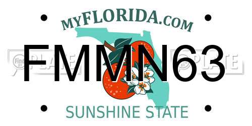 FMMN63 Florida License Plate