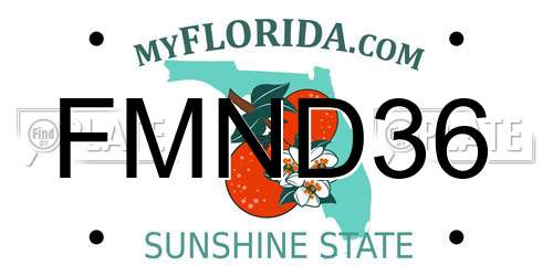 FMND36 Florida License Plate